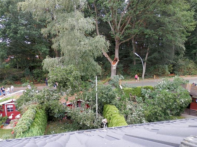 Ast fällt mit Ansage, aber Stadt Zeven will nicht zahlen Dieses Foto hat Holger Kania aufgenommen. Vorne ist sein Grundstück zu sehen, in dem der Ast auf dem Gartenhaus liegt. Auf der anderen Seite der Straße Kronshusen in Zeven steht die Eiche, von der der mächtige Ast abgebrochen ist.