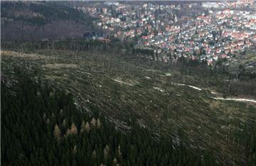 Dieses Luftbild zeigt ein zerstörtes Waldgebiet auf dem Lindenberg in Ilmenau (T...