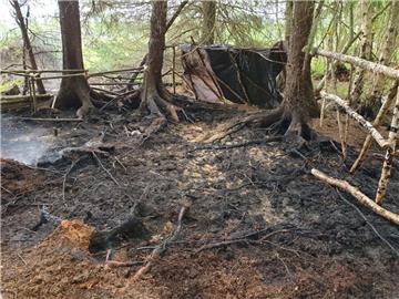 Dieses Waldstück brannte am Mittwochnachmittag. Die Feuerwehr konnte schnell löschen.  