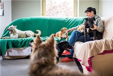 Doris Urban nimmt über „Born to live“, einem Verein für Auslandstierschutz, ungarische Hunde bei sich auf, die ansonsten getötet werden würden.