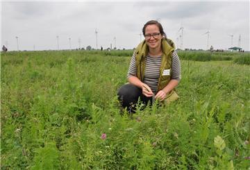 Dr. Anja Schmitz vom ADAM-Projekt der Universität Göttingen auf einer artenreichen Versuchsfläche. Ziel des ADAM-Projekts ist es, auf intensiv genutztem Dauergrünland Zonen mit einer artenreichen Vegetation zu integrieren.