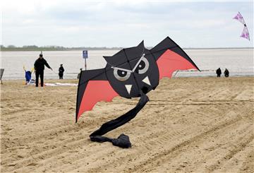 Drachen steigen in Tossens in die Luft.