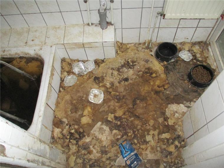 Dreck, Unrat und zwei kleine Hunde haben Mieter in Bremerhaven-Lehe hinterlassen.