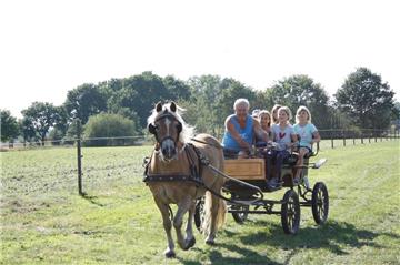 Dreht geduldig seine Runden: Haflinger "Charlie" und Kutscher Dieter Kruse sind beim Kindernachmittag der Tarmstedter Heimatfreunde ein gefragtes Team.