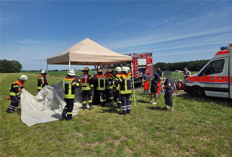 Hitze-Drama mitten auf dem Feld! Drei Kinder im Auto eingesperrt Mehrere Feuerwehrleute stehen auf einem Feld.