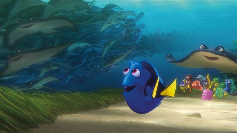 Dreizehn Jahre nach dem Unter-Wasser-Abenteuer aus dem Hause Pixar wird die Geschichte mit "Findet Dorie" fortgesetzt.