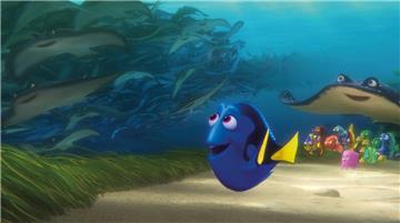 Dreizehn Jahre nach dem Unter-Wasser-Abenteuer aus dem Hause Pixar wird die Geschichte mit "Findet Dorie" fortgesetzt.