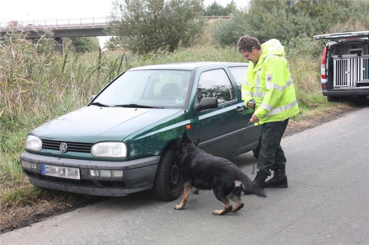 Polizei muss groß angelegte Verkehrskontrolle abbrechen Drogenspürhund untersucht ein Auto
