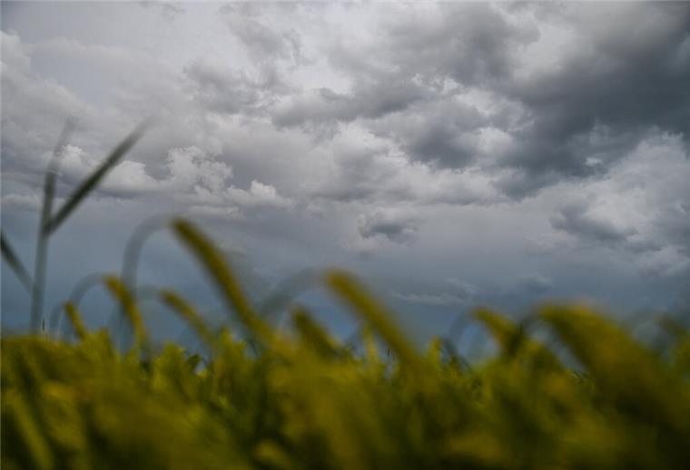Starkregen im Anmarsch! So wird das Wetter am Wochenende Dunkle Wolken ziehen vermutlich am Nachmittag über Bremen und Niedersachsen auf.
