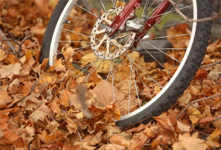 Fahrrad-Club: Winterreifen bieten Grip auf rutschigen Wegen Herbstlaub liegt auf einem abgestellten Fahrrad.