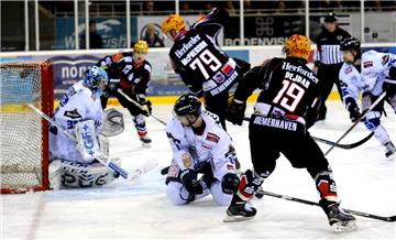 Durch den 4:3-Sieg gegen die Dresdener Eislöwen im fünften Viertelfinale sind die  Fischtown Pinguins noch im Playoff-Rennen. Foto Scheschonka