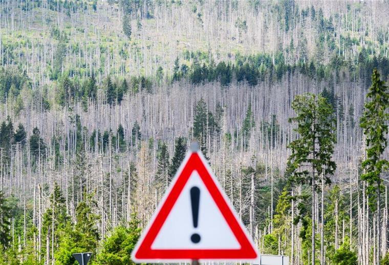 1,7 Billionen Euro - das kostet der Klimawandel Ein Wald steht im Hintergrund eines Schildes mit Ausrufezeichen.