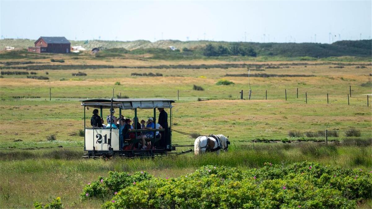 Nordsee-Urlauber aufgepasst! Diese beliebte Insel-Attraktion wird ausgebaut Durch eine Streckenverlängerung will die Nordseeinsel Spiekeroog ihre traditionsreiche Pferdebahn langfristig erhalten. (Archivbild)