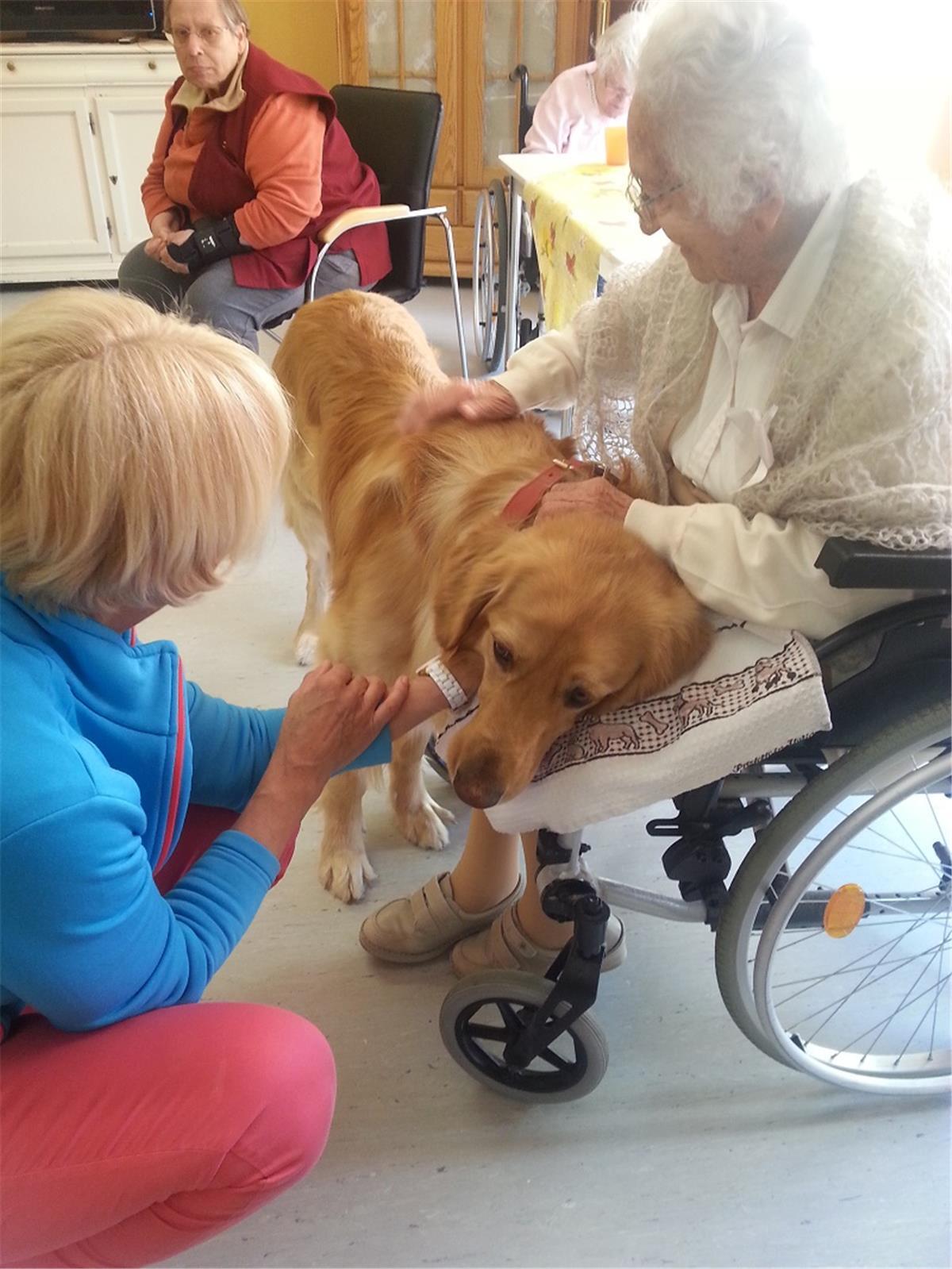 Egal, ob im Seniorenheim oder im Kindergarten: Therapiehunde werden überall gern gesehen.  