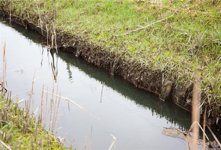 Cuxland: Niedriger Wasserstand in der Wasserlöse Eigentlich soll die hölzerne Uferbefestigung dauerhaft unter Wasser stehen. An der Misselwardener Wasserlöse war das Anfang des Monats nicht der Fall.