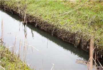 Eigentlich soll die hölzerne Uferbefestigung dauerhaft unter Wasser stehen. An der Misselwardener Wasserlöse war das Anfang des Monats nicht der Fall.