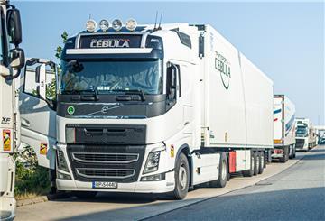 Ein Andrang, wie vor Jahren zuletzt: Rund 100 Lkw parken vor dem Fruchtterminal im Hafen, um Bananen abzuholen.