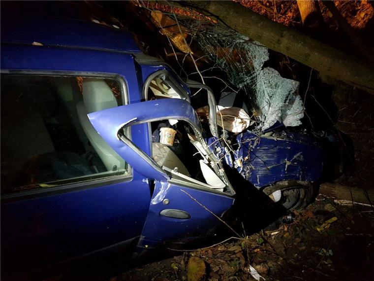 Lebensgefährlich verletzt: Autofahrer kracht gegen Baum Ein Autofahrer ist am Sonnabend auf der Bundesstraße 6 gegen einen Baum gekracht. Er verletzte sich lebensgefährlich.