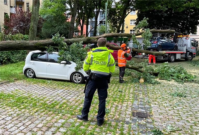 Ein Baum ist in Lehe auf parkende Autos gefallen.