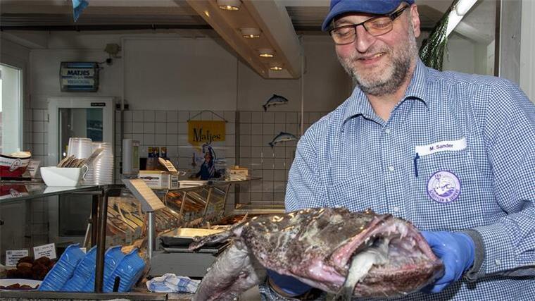 Fischhändler hebt einen Seeteufel in Richtung Kamera