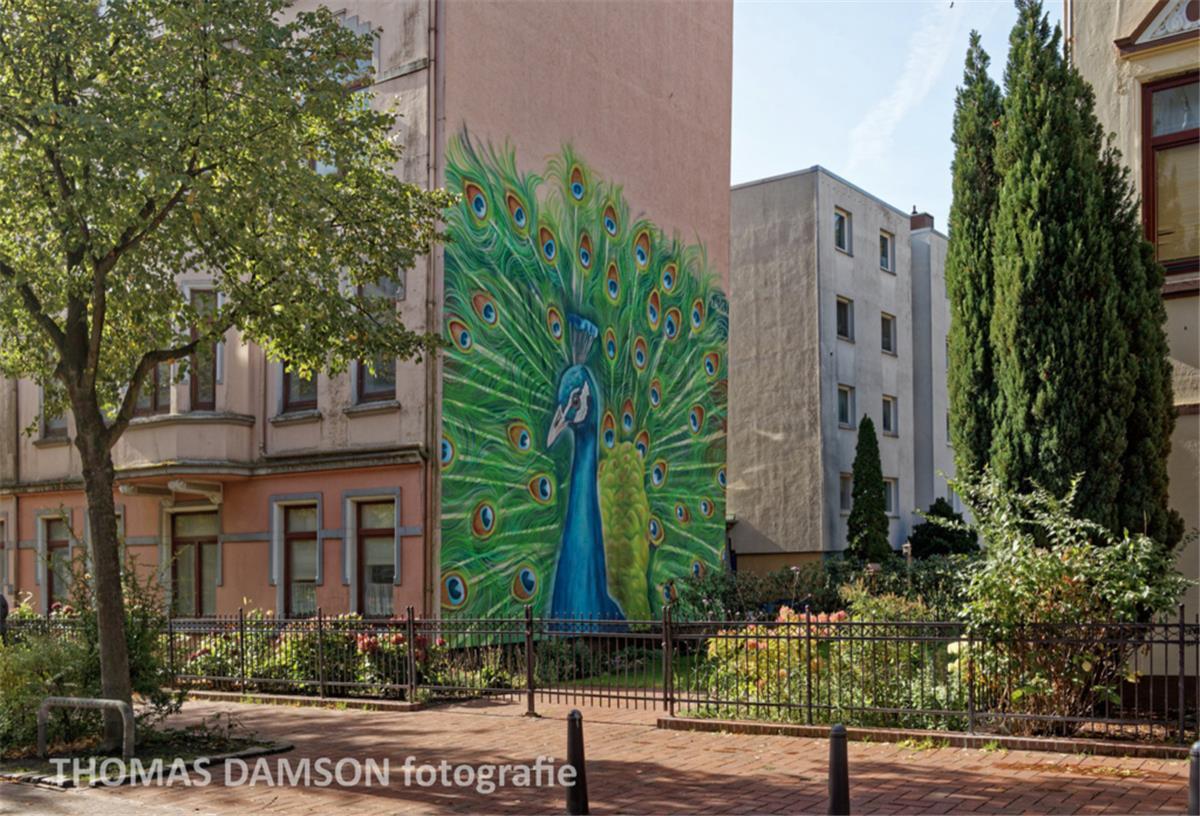 Thomas Damsons neuer Foto-Blog zeigt Reize des Goethe-Quartiers Ein Bild mit Symbolkraft: Das lange Zeit gerupfte Goethe-Quartier in Bremerhaven hat begonnen, seine Federn wieder zu spreizen. Foto-Künstler Thomas Damson dokumentiert mit solchen Fotos die Chancen des Viertels. Das Foto entstand in der Goethestraße.