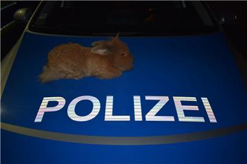 Ein bisschen Wärme schadet nie: Der Polizei in Stadthagen ist ein Kaninchen vors Auto gelaufen. 