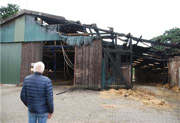 Ein Blick auf die Brandstelle in Flögeln: Viele Menschen aus dem Ort waren in der Nacht auf den Beinen, um zu helfen. Der Boxenlaufstall ist trotzdem schwer beschädigt worden durch die Flammen.
