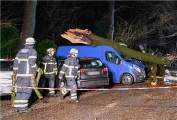 Ein Baum liegt neben der sichtbaren Abbruchstelle auf zerstörten Autos und einem Transporter.