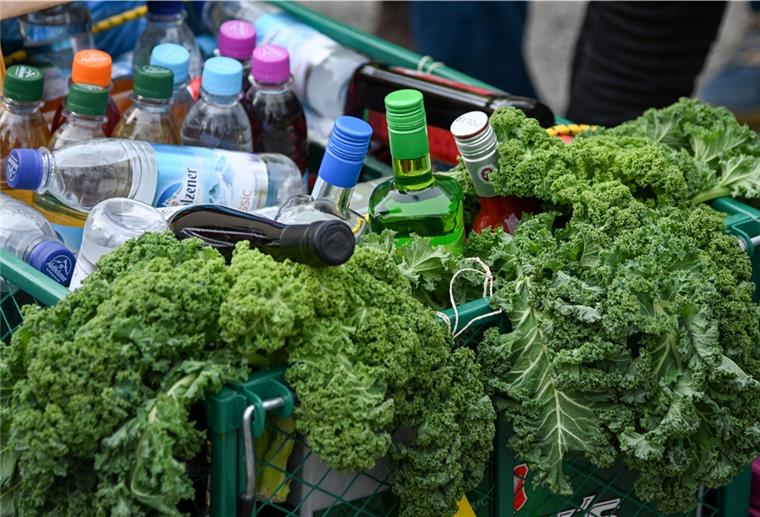 Ein Bollerwagen ist bei einer Kohlfahrt mit Grünkohlblättern und alkoholischen Getränken gefüllt.