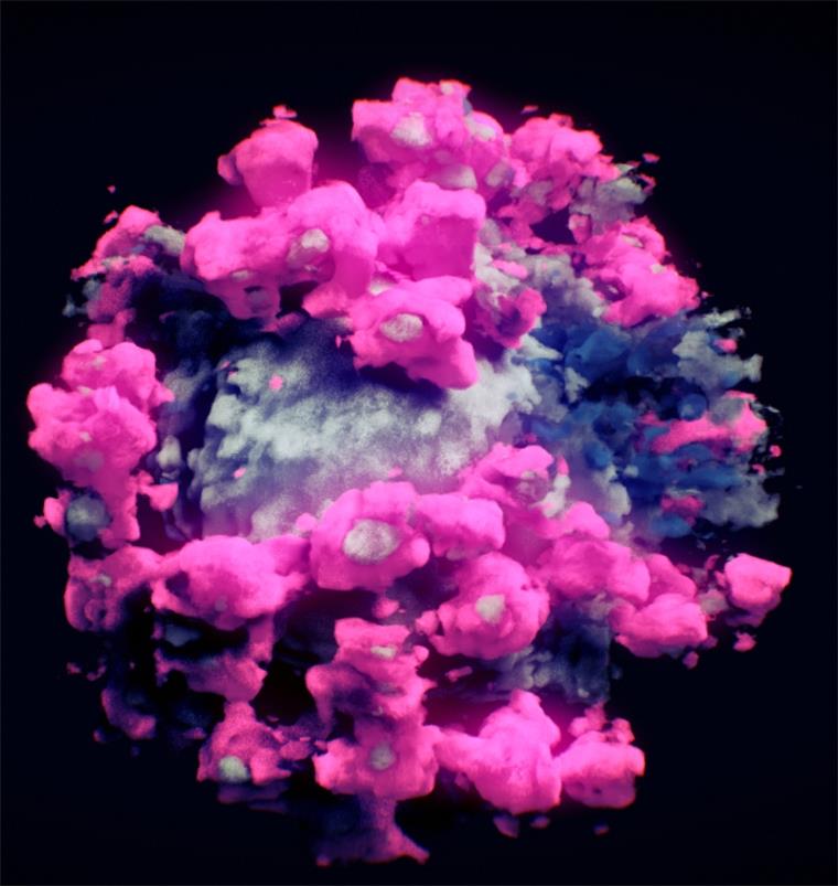 Ein Coronavirus. Forschern des TU Wien-Spin-off Nanographics gelangen diese und andere Aufnahmen des Erregers. Es handelt sich dabei nicht um computergenerierte Modelle, sondern um durch neue Techniken entstandene 3D-Abbildungen "echter" SARS-CoV-2-Viren aus schockgefrorenen Proben. Laut den Wissenschaftlern sind dies die ersten ihrer Art.