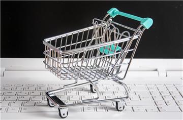 Ein Delmenhorster hat durch Fakeshops im Internet viel Geld ergaunert.