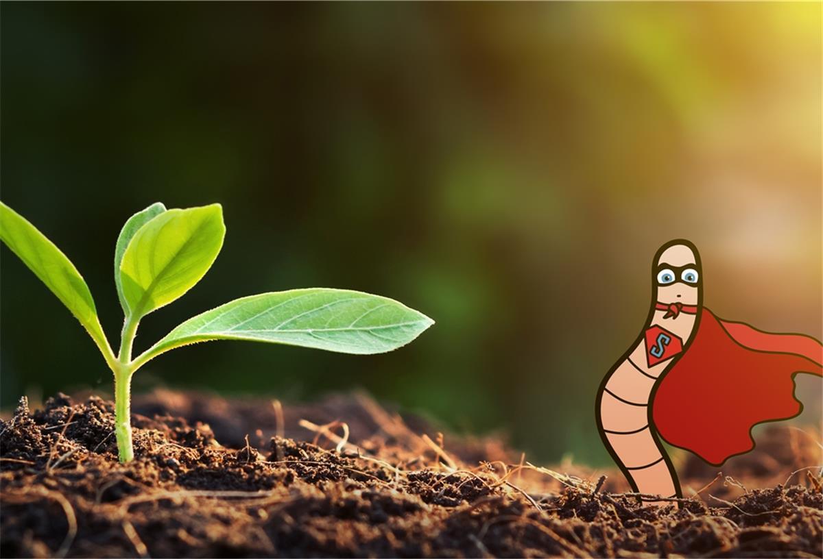 So wichtig ist der Regenwurm für unsere Böden Ein gezeichneter Wurm neben einer kleinen Pflanze, die aus dem Boden ragt.