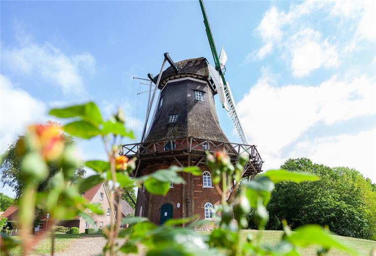 Midlum Mühle Mühlentag