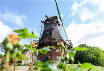 Midlum Mühle Mühlentag