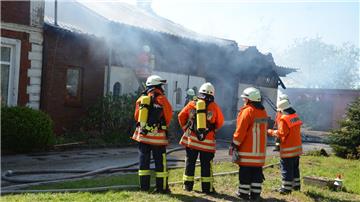 Ein Feuer hat einen Stall im Land Hadeln zerstört.