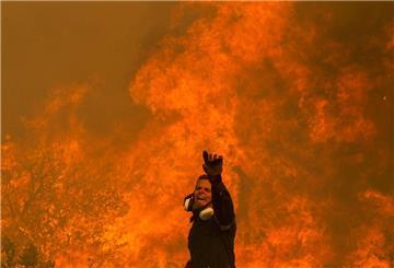 Ein Feuerwehrmann kämpft in einem Dorf in der Nähe von Athen gegen einen Waldbrand.