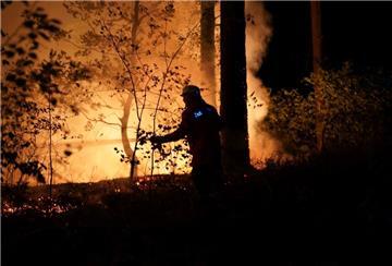 Ein Feuerwehrmann löscht einen Waldbrand.