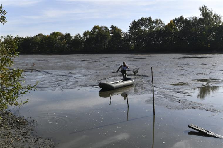Tietjensee-Suche erfolglos: Freispruch für Angeklagten gefordert Ein Fischer fängt mit dem Kescher Aale, die sich beim Abpumpen in den Schlamm des Tietjensee zurückgezogen haben. Die Polizei hat im leergepumpten See keine Beweismittel für einen 25 Jahre zurückliegenden Mordfall entdeckt.