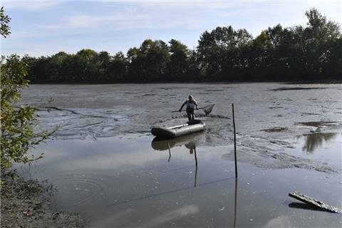 Ein Fischer fängt mit dem Kescher Aale, die sich beim Abpumpen in den Schlamm des Tietjensee zurückgezogen haben. Die Polizei hat im leergepumpten See keine Beweismittel für einen 25 Jahre zurückliegenden Mordfall entdeckt.