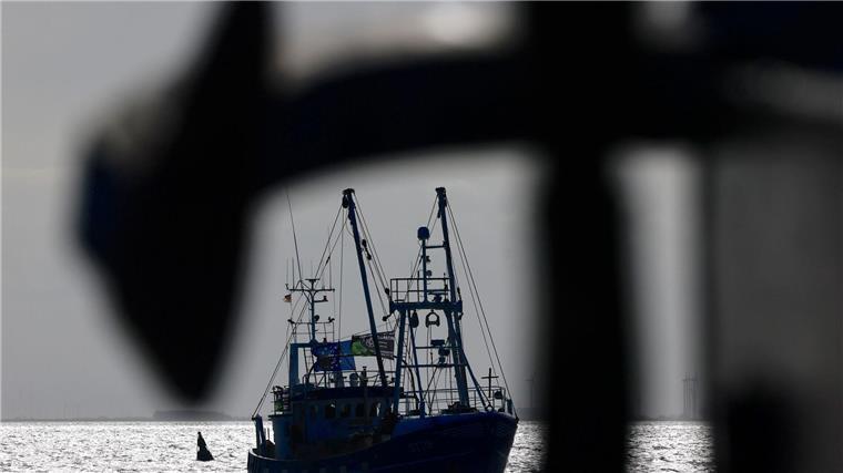 Grundschleppnetze zerstören Hälfte der Schutzgebiete Ein Fischerboot fährt auf der Nordsee.