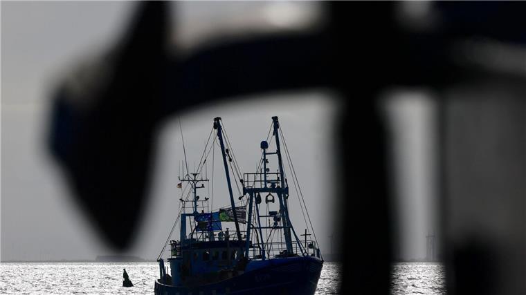 20 Millionen Euro für Fischerei freigegeben Ein Fischerboot fährt auf der Nordsee. (Archivbild)