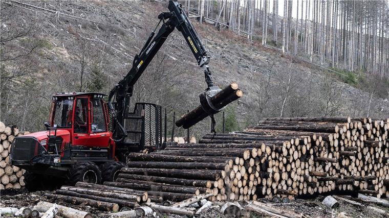 Fünf Jahre nach Friederike: Auflösung des Sturmholz-Lagers Ein Forstfahrzeug verlädt im Kellwassertal Fichtenbaumstämme zum Abtransport.