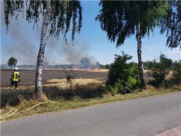 Ein fünf Hektar großes Getreidefeld ist am Montagnachmittag in Schwanewede niedergebrannt.