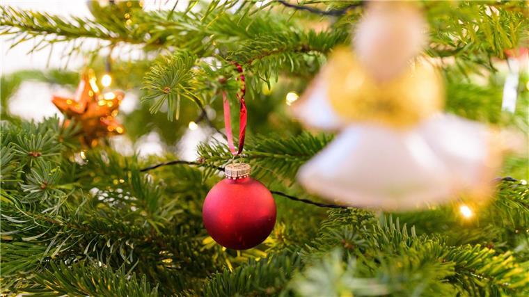 Ein geschmückter Tannenbaum.