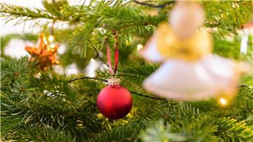 Ein geschmückter Tannenbaum.
