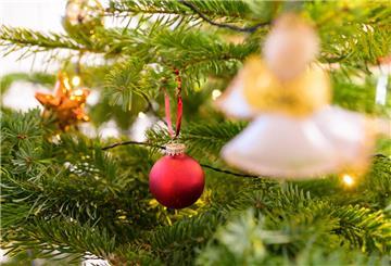 Eine rote Kugel hängt neben einem Stern und einer Engelsfigur in einem geschmückten Tannenbaum
