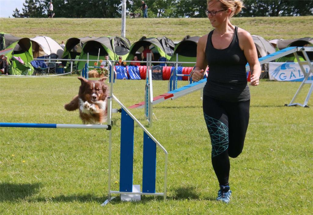 Ein gutes Zusammenspiel zwischen Mensch und Hund war erforderlich. Foto: Baur