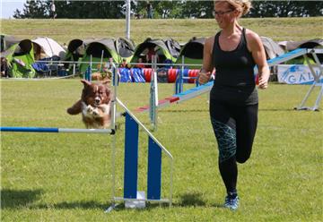 Ein gutes Zusammenspiel zwischen Mensch und Hund war erforderlich. Foto: Baur