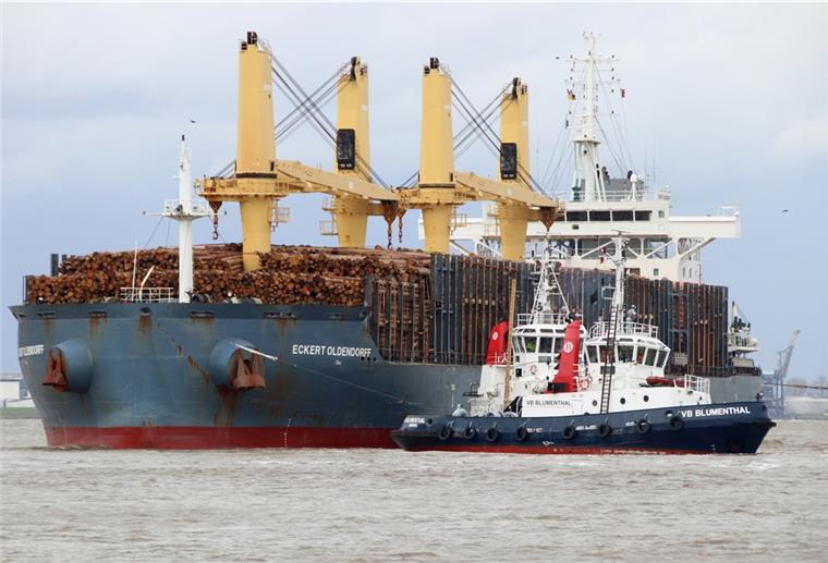 Holzknappheit: Nordenhamer Unternehmer betroffen Ein Holzfrachter verlässt den Midgard-Hafen in Nordenham.