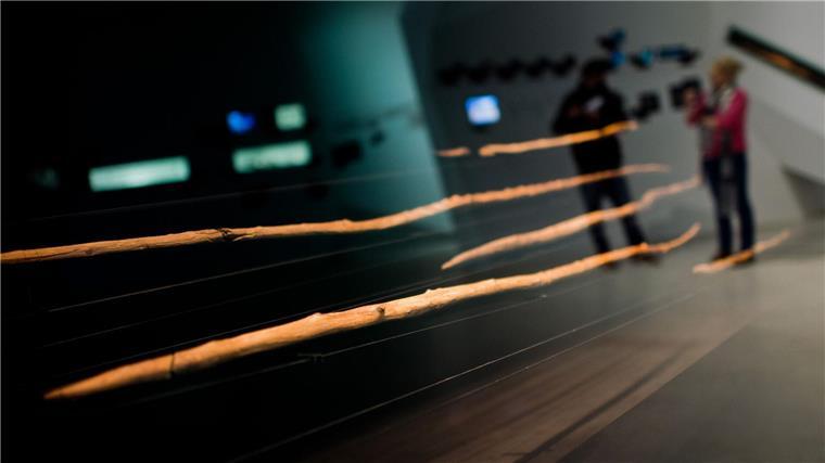 Studie: Schöninger Speere sind nur 200.000 Jahre alt Ein internationales Forschungsteam berichtet, die hölzernen Waffen seien nur etwa 200.000 Jahre alt - statt 300.000 Jahre wie bislang vermutet. (Archivbild)